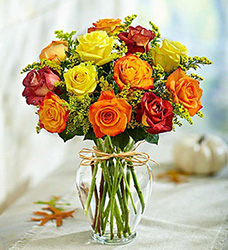Rose Elegance Premium Long Stem Fall Roses Flower Power, Florist Davenport FL